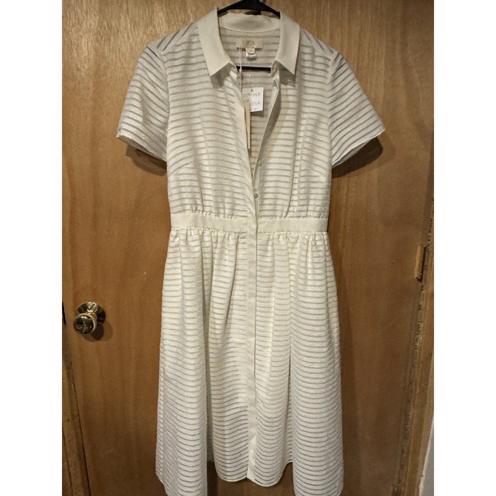 Erin Fetherston White Striped Organza Fit And Flare Shirt Dress NWT 6
